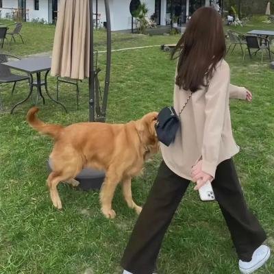 御狐之绊第二季